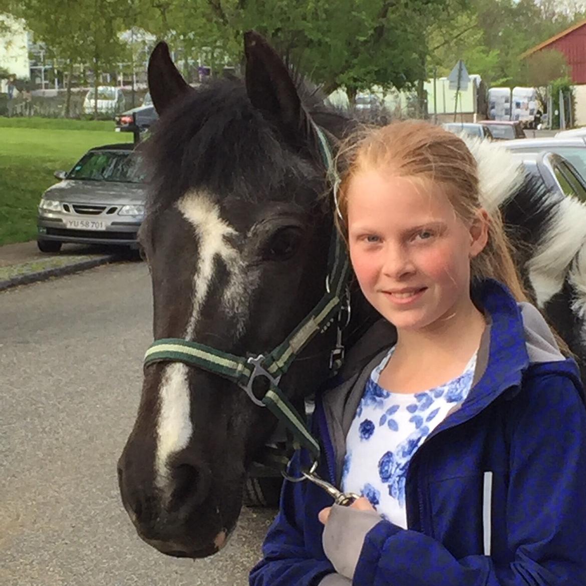 Anden særlig race Bounty - Charmetrold  - søde B så fotogen billede 6