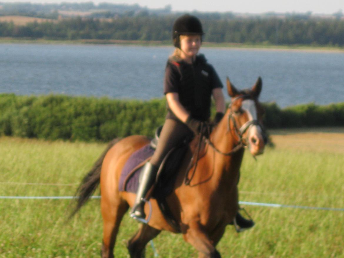 DSP Holmgaards Cezanne billede 5