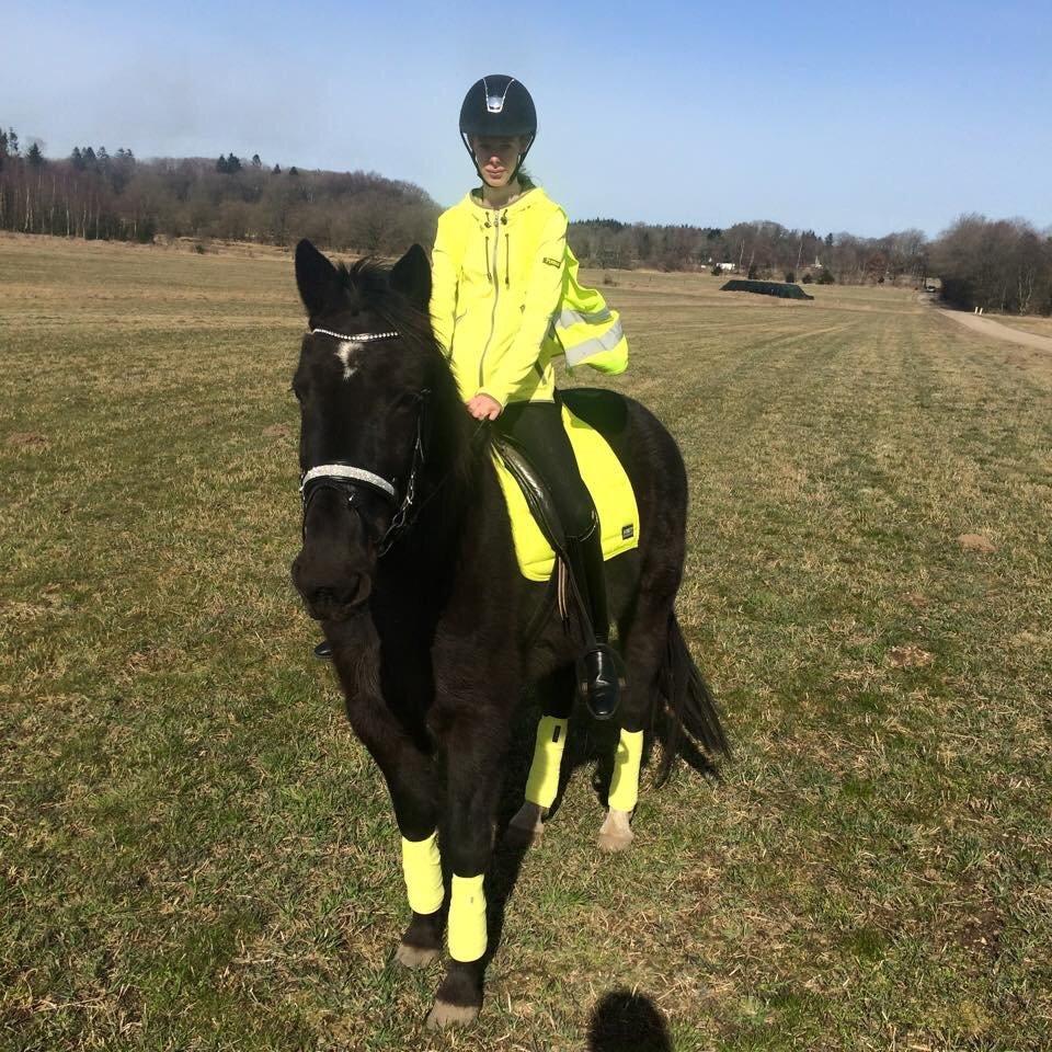 Traver sorte billede 1