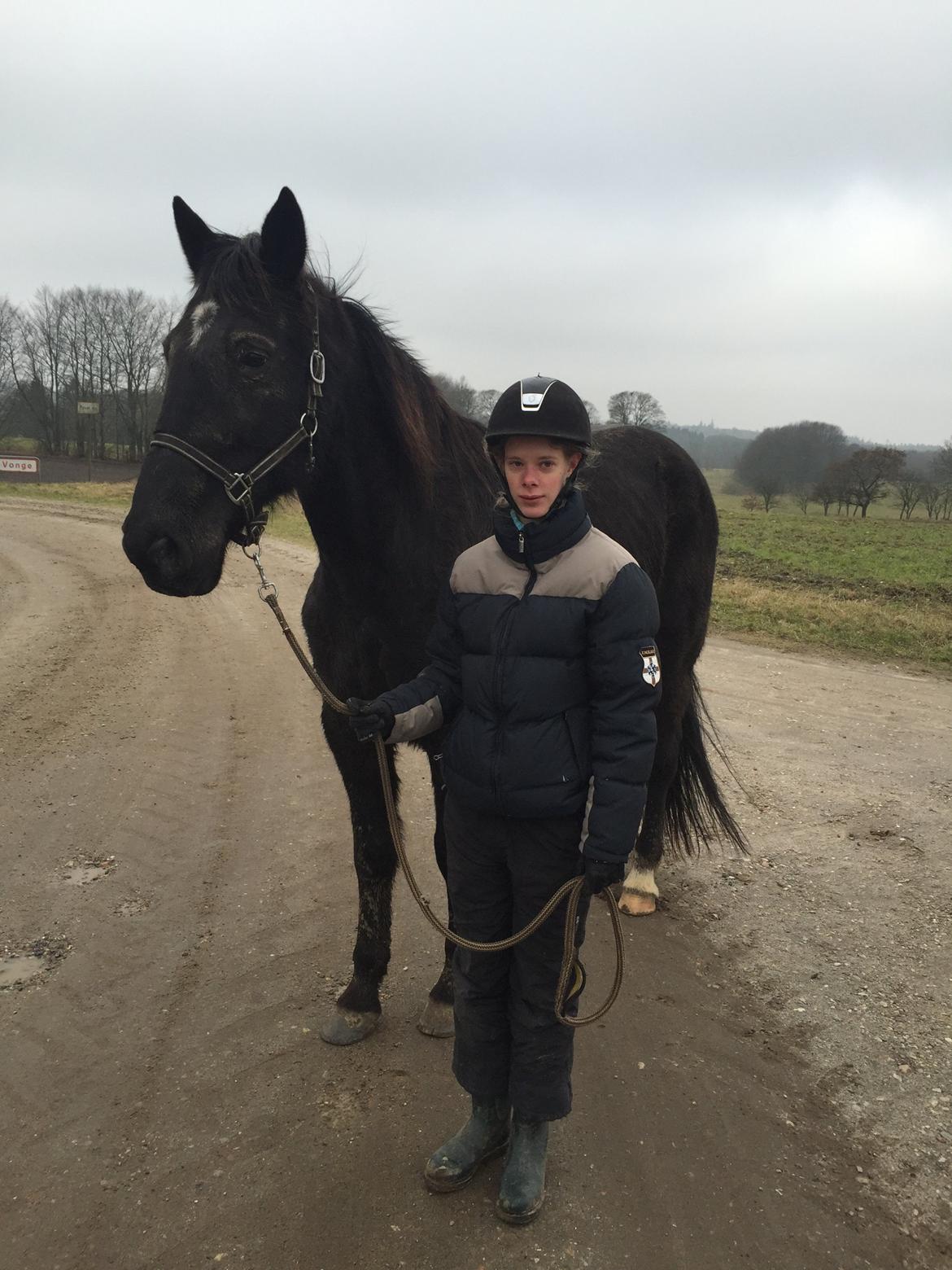 Traver sorte billede 2