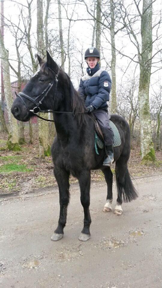 Traver sorte billede 6