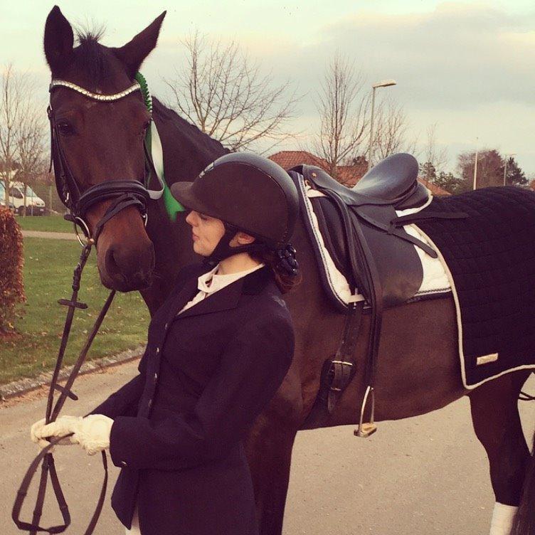 Dansk Varmblod Logo's Duchette billede 5