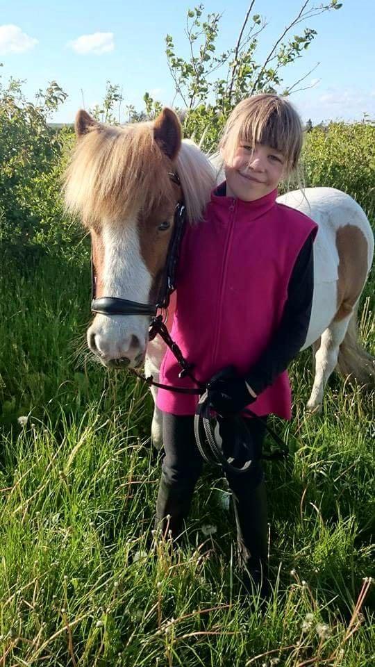 Anden særlig race Lille My *solgt* billede 16