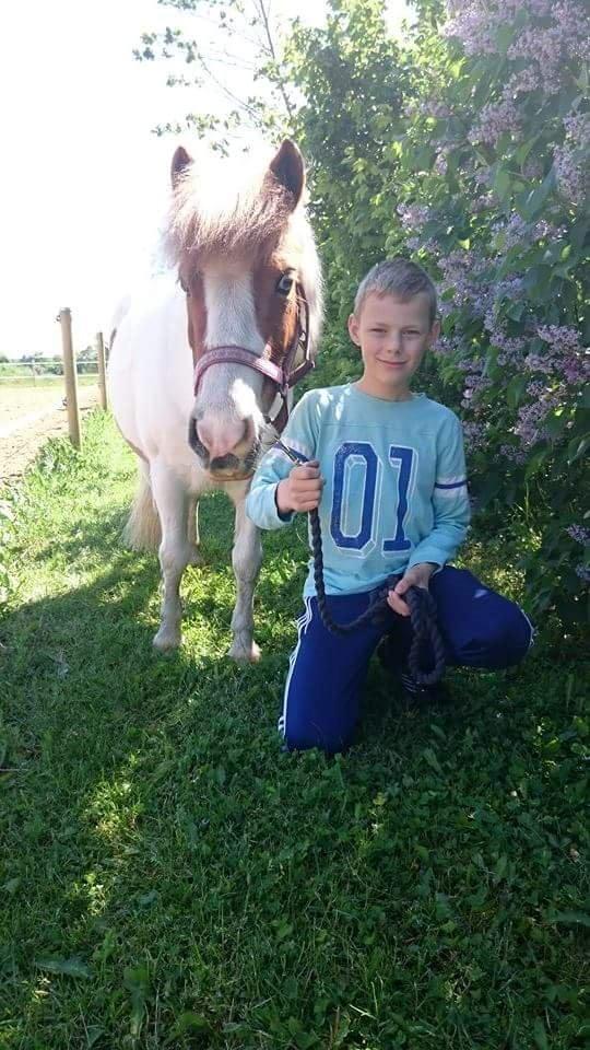 Anden særlig race Lille My *solgt* billede 17