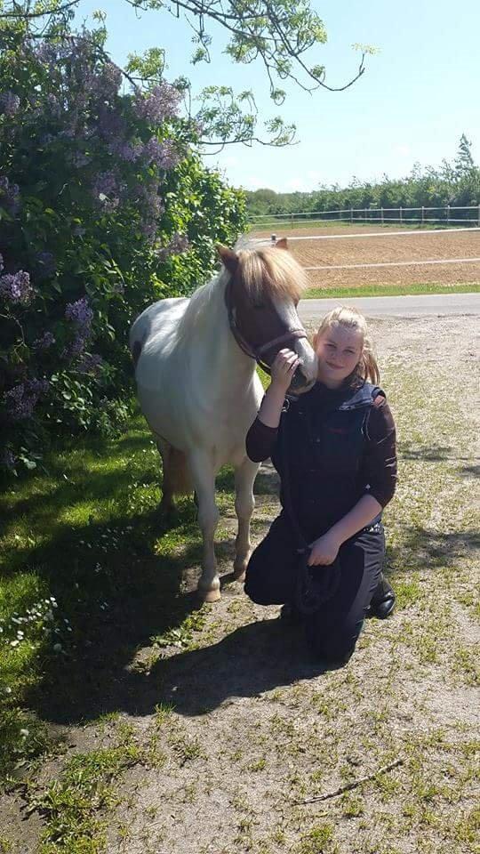 Anden særlig race Lille My *solgt* billede 19