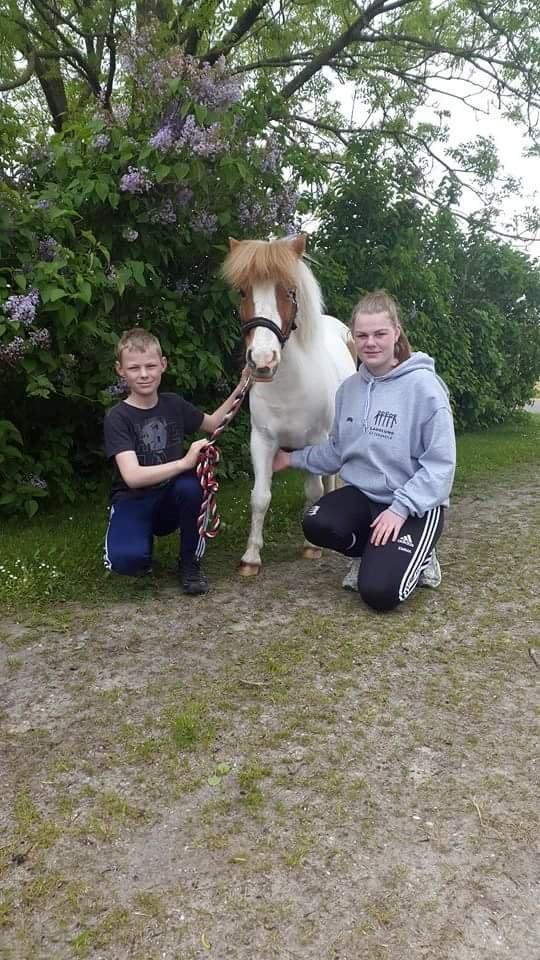 Anden særlig race Lille My *solgt* billede 20