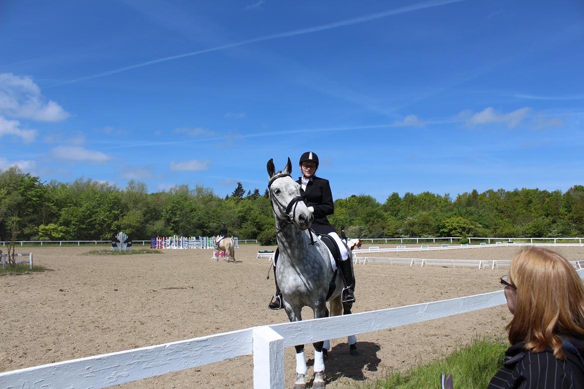 Anden særlig race Leonardo Søblink (Leo) billede 1