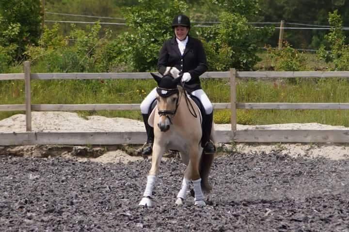 Fjordhest Bastian - på eor, karantæne stævne juni 15 billede 10