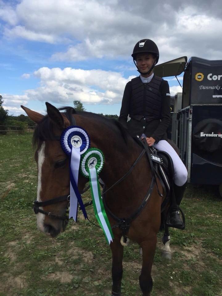 Irsk Sportspony Mystic Sandy - <3<3<3 billede 8