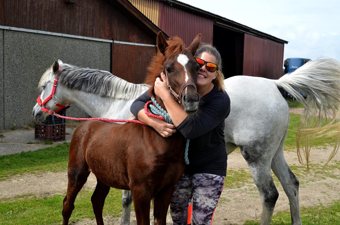 DSP Miss Liberty billede 10