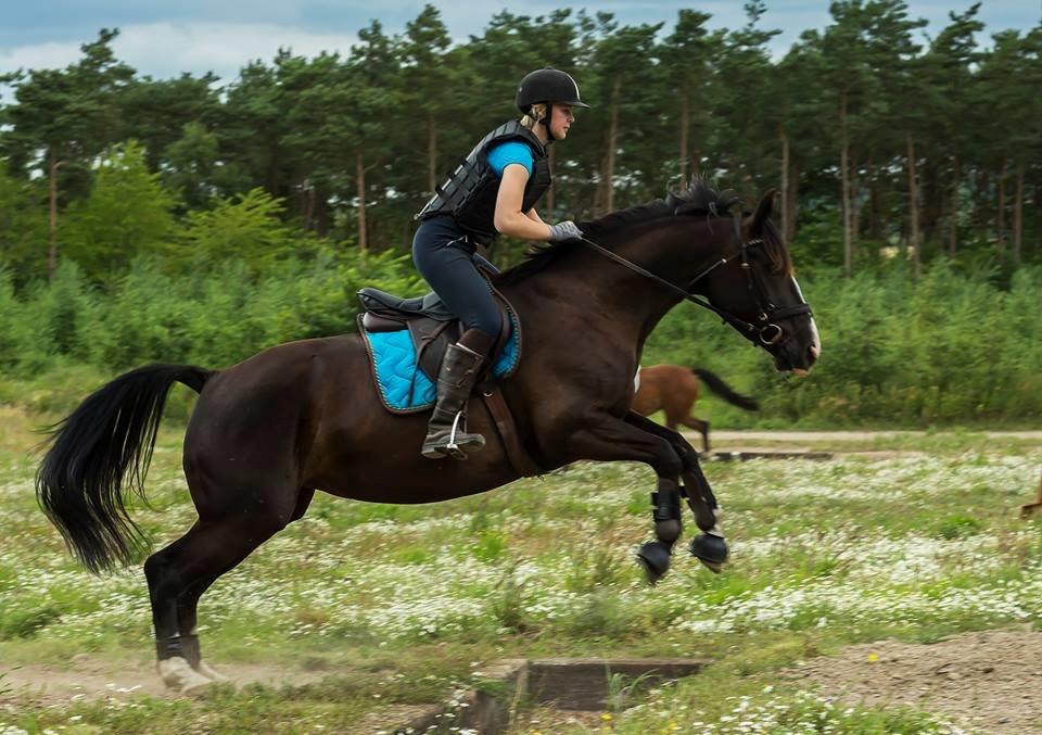 Oldenborg Lyna af ågården billede 6