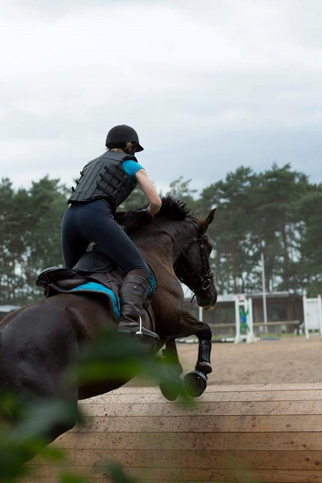 Oldenborg Lyna af ågården billede 4