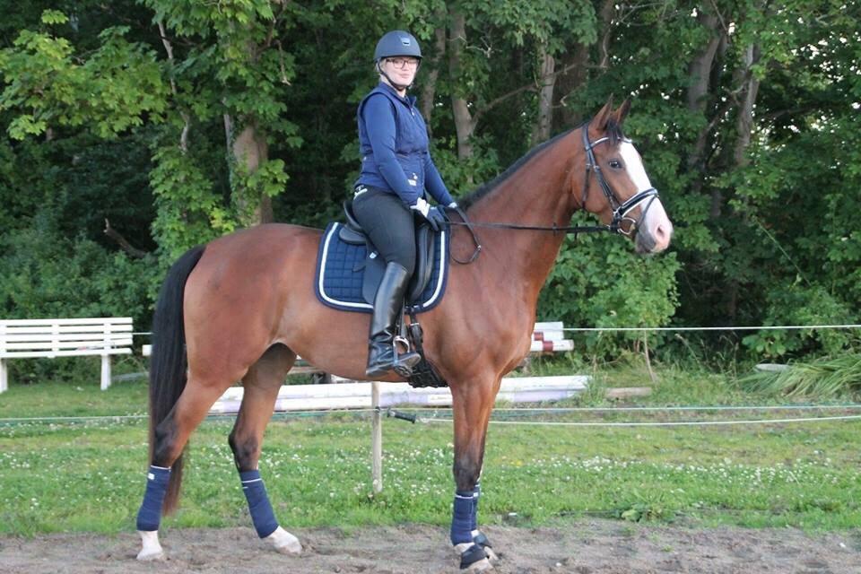 Dansk Varmblod Malina - Redet i en måned <3 billede 10