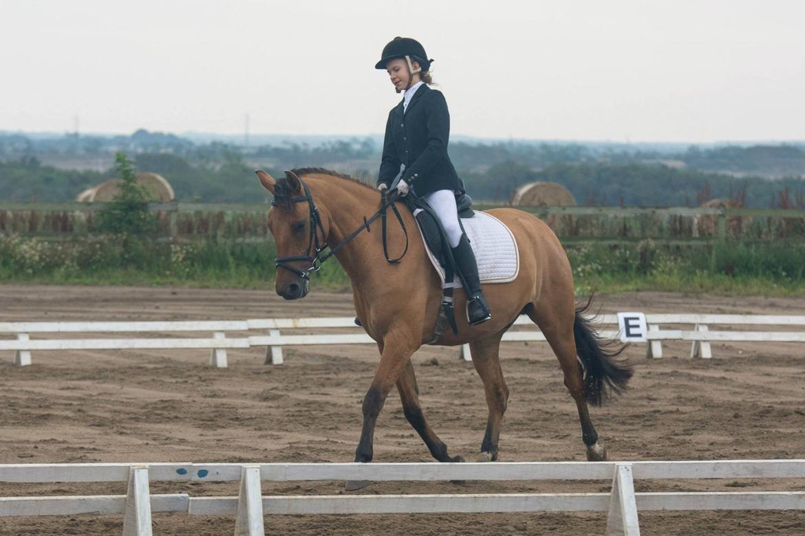 Anden særlig race Victor billede 17