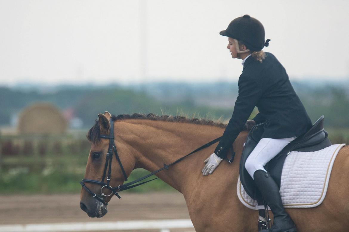 Anden særlig race Victor billede 20