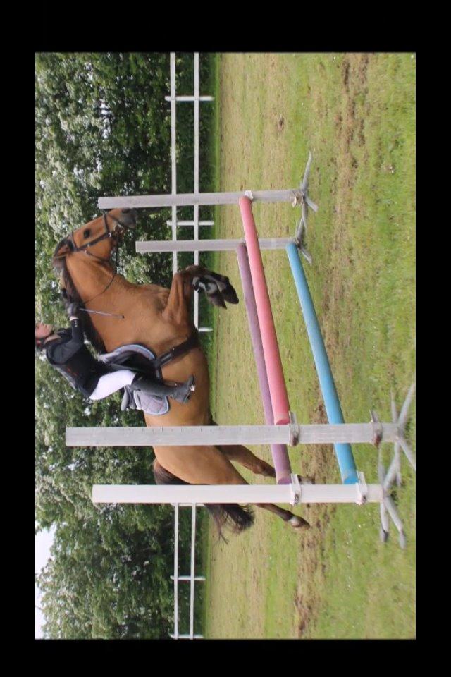 Anden særlig race Victor billede 36