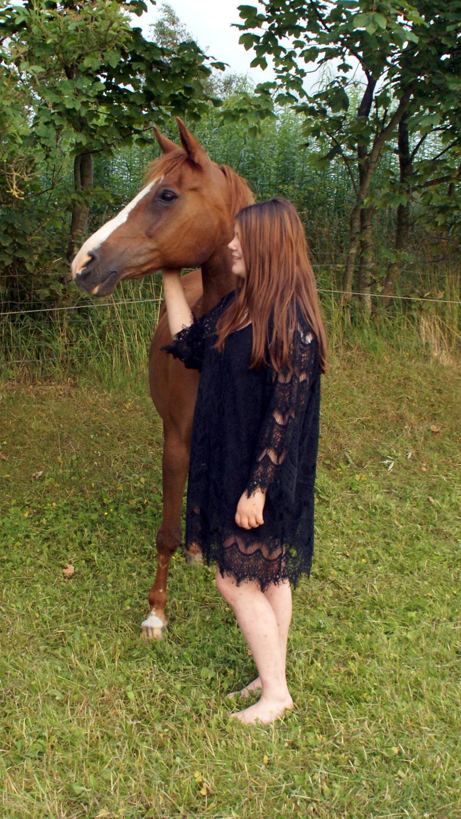 Anden særlig race Misty - Foto; Julie Krogh billede 7