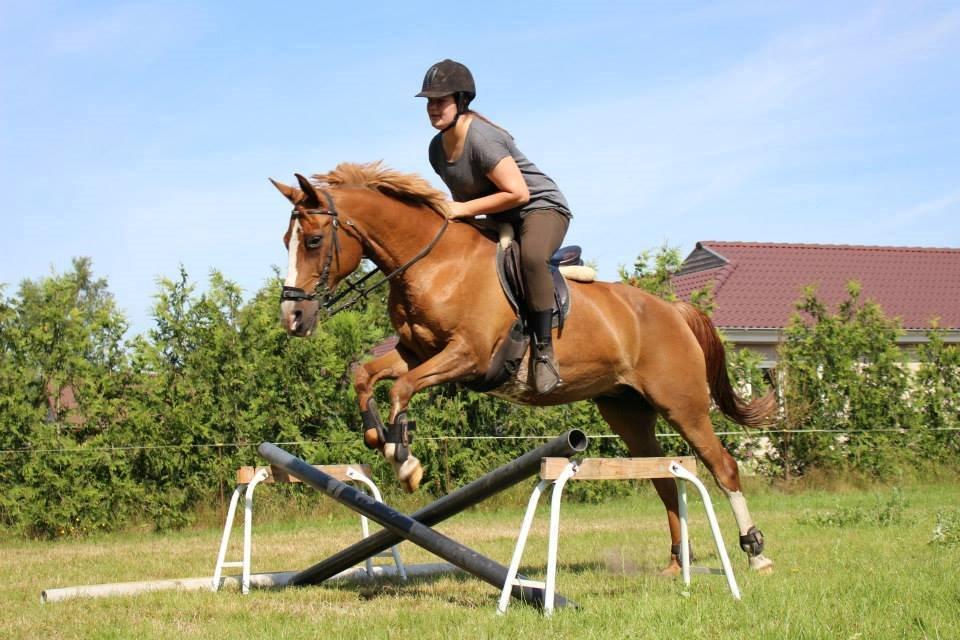 Anden særlig race Misty - Foto; Nanna Klitgaard billede 11