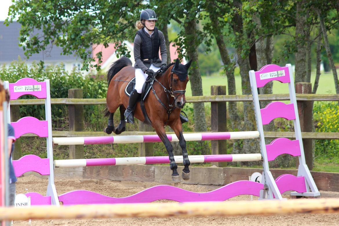 Anden særlig race Darling Marie - Klubmesterskab - Hestehavens Rideklub billede 13