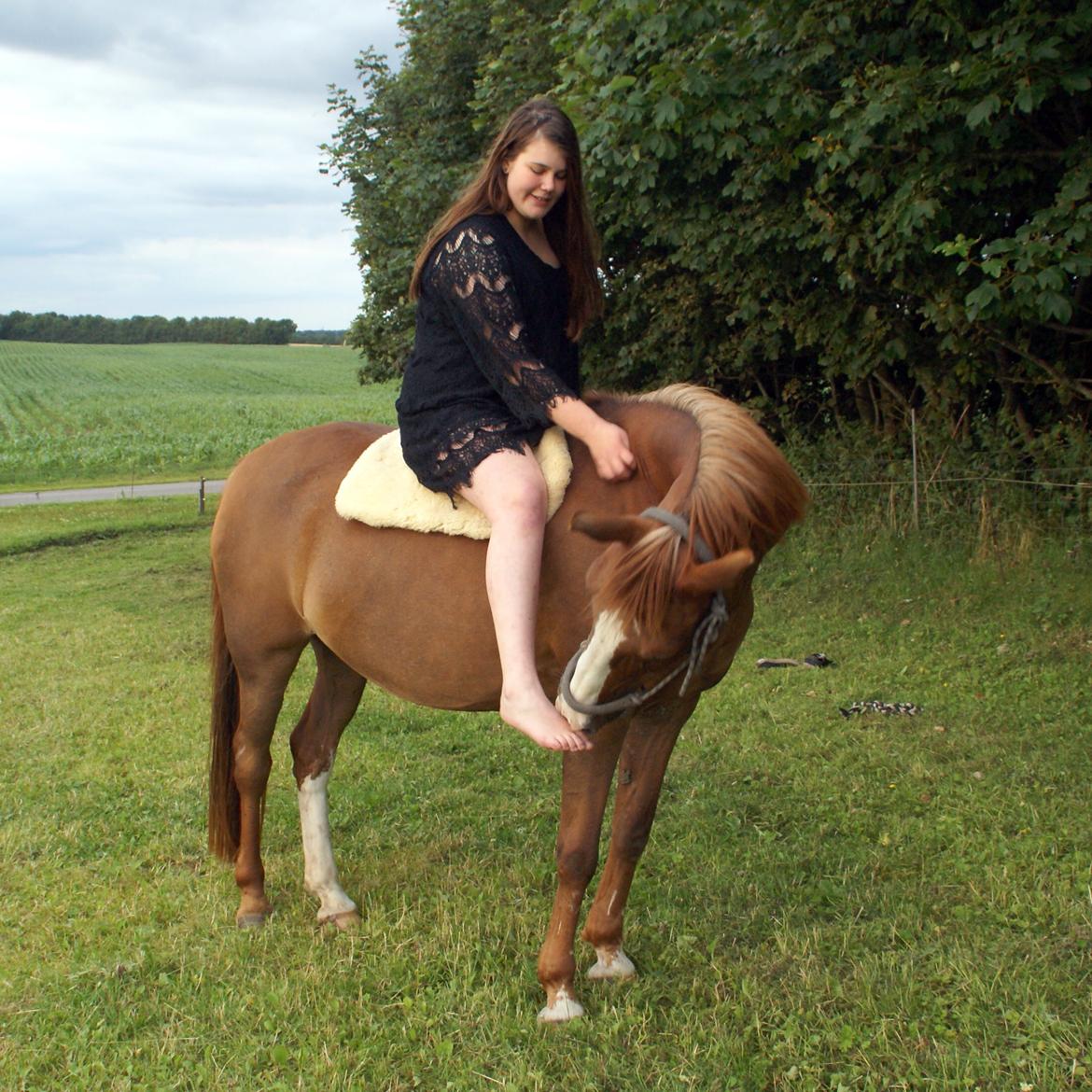 Anden særlig race Misty - Foto; Julie Krogh billede 1