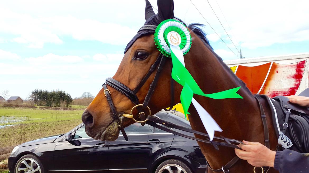 Anden særlig race Darling Marie - 3. Plads - Boller Rideklub billede 16