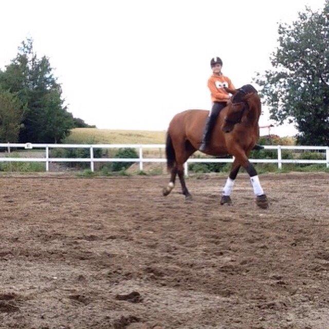 Anden særlig race White one billede 2