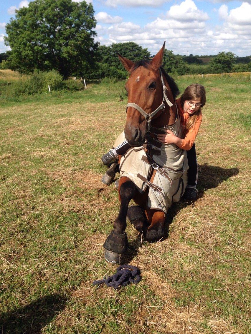 Anden særlig race White one billede 3