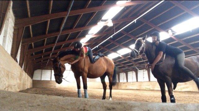 Anden særlig race White one billede 5