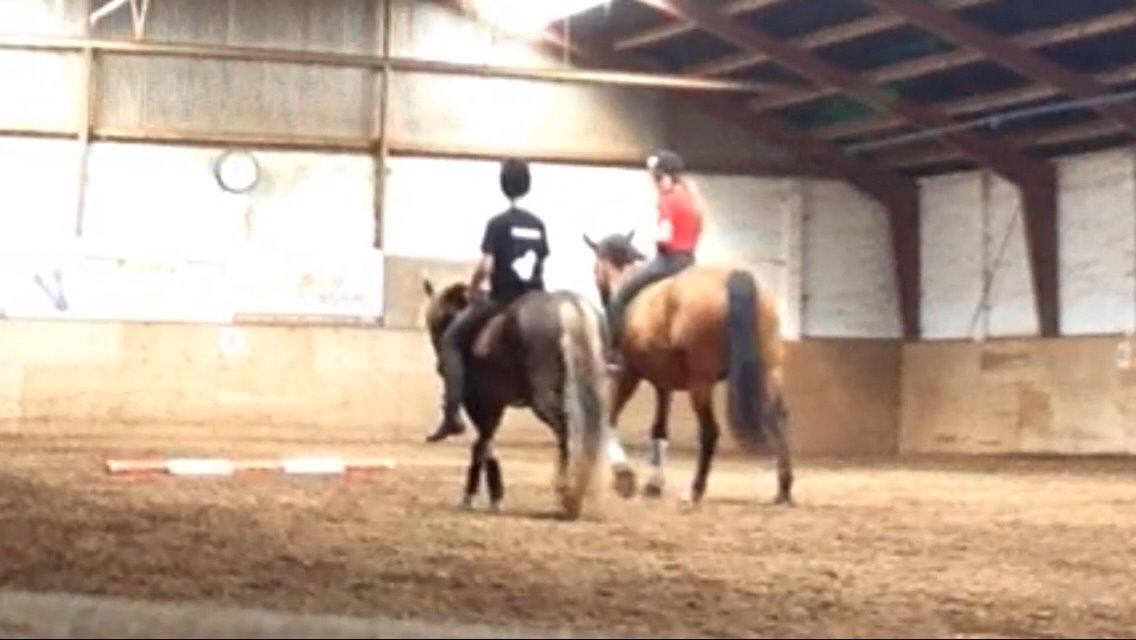 Anden særlig race White one billede 6