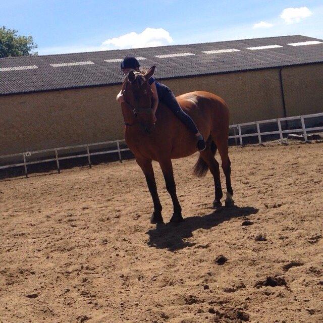 Anden særlig race White one billede 10