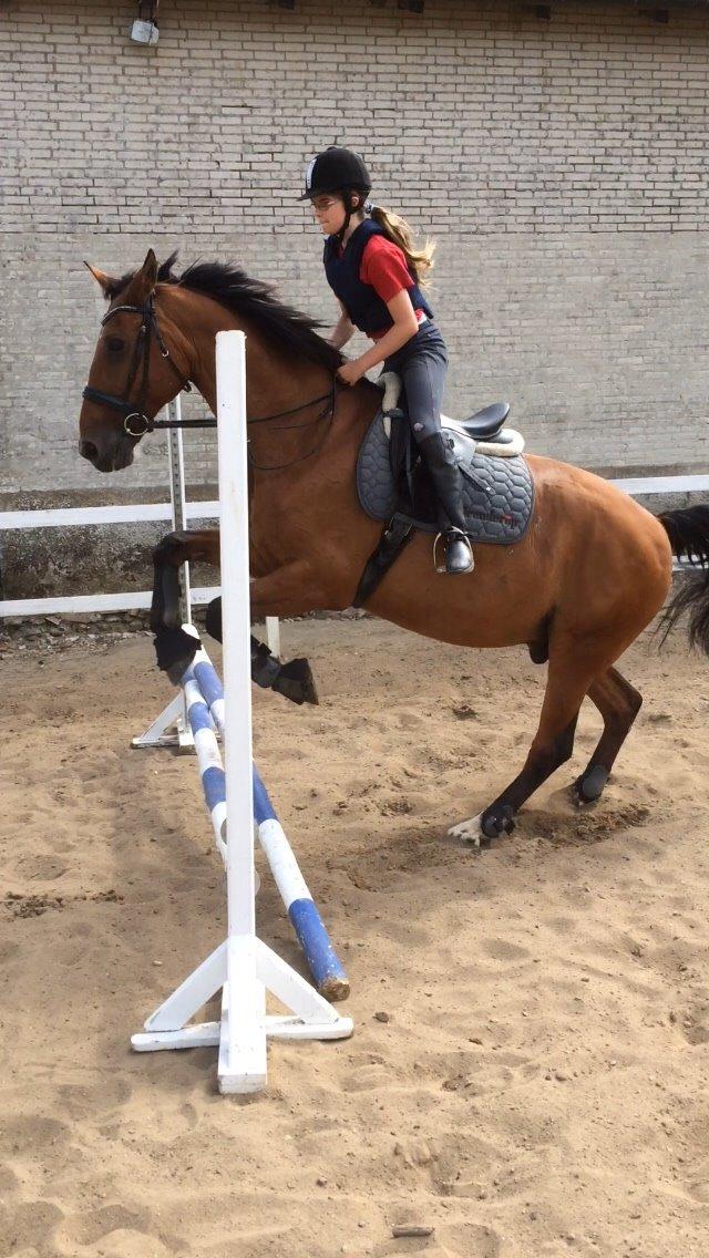 Anden særlig race White one billede 12