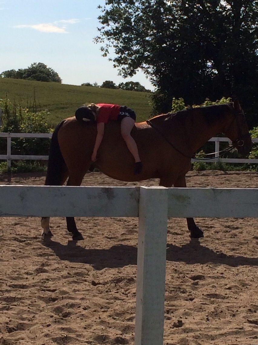 Anden særlig race White one billede 15