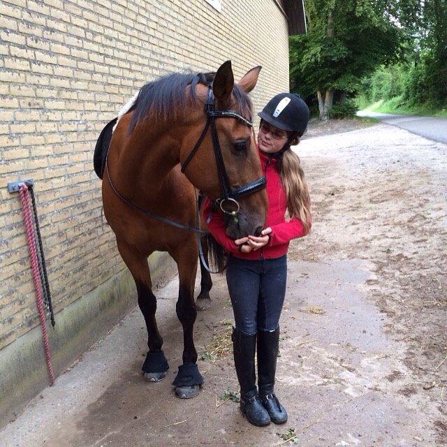 Anden særlig race White one billede 17