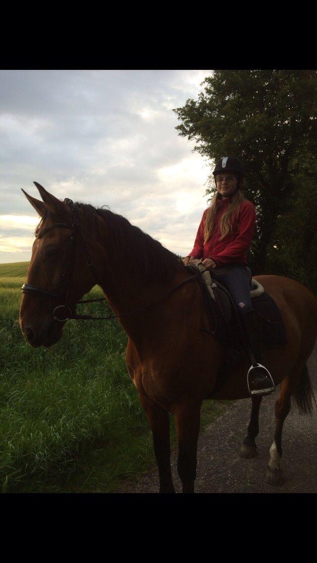 Anden særlig race White one billede 18