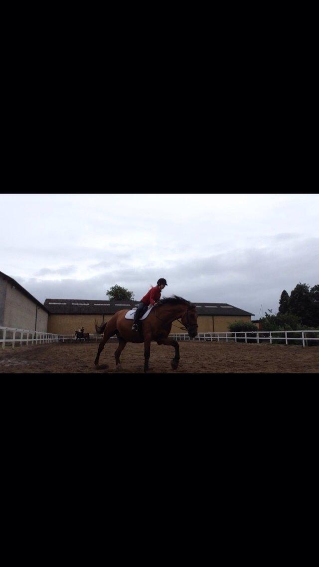 Anden særlig race White one billede 1