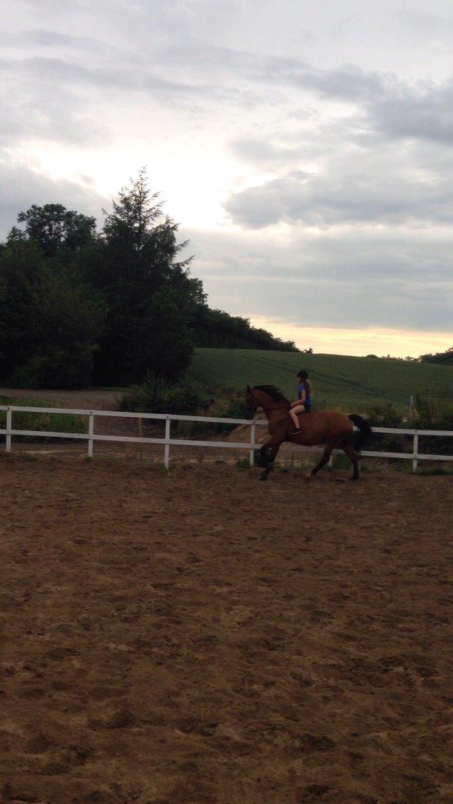 Anden særlig race White one billede 16