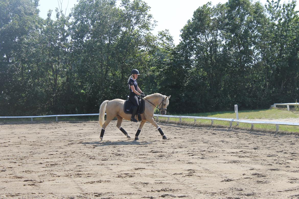 DSP Attention - D. 3/8-15 billede 3