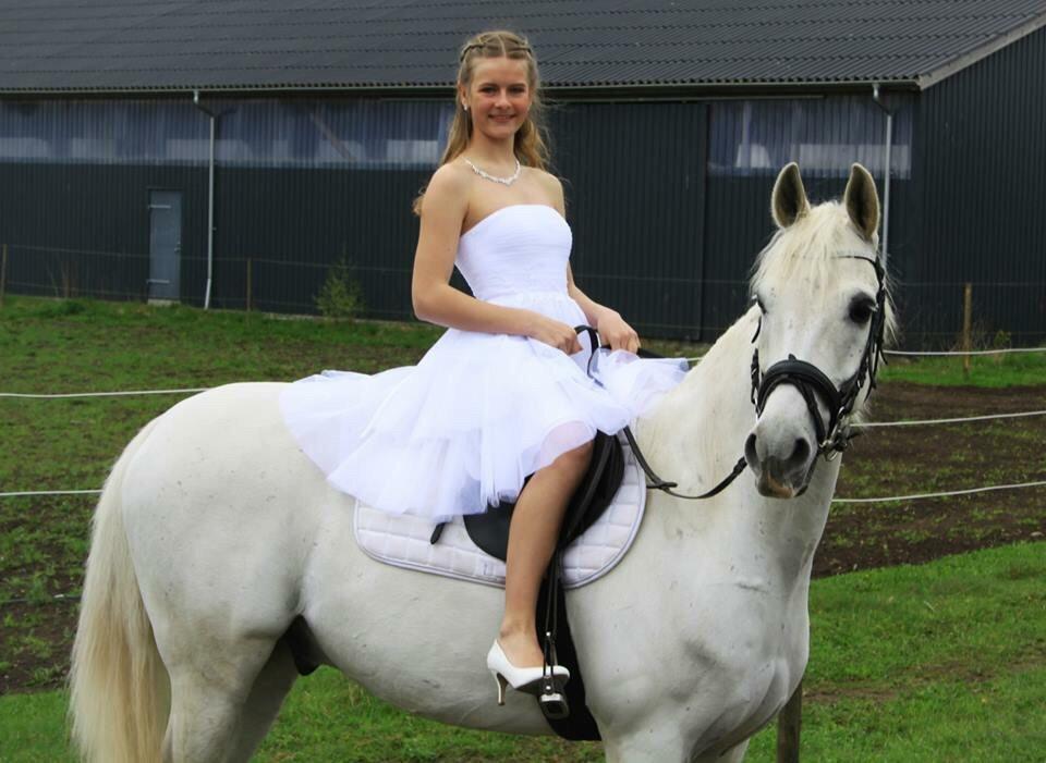 Anden særlig race Vsr Moonjam billede 15