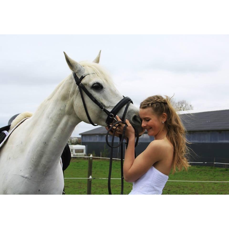 Anden særlig race Vsr Moonjam billede 16