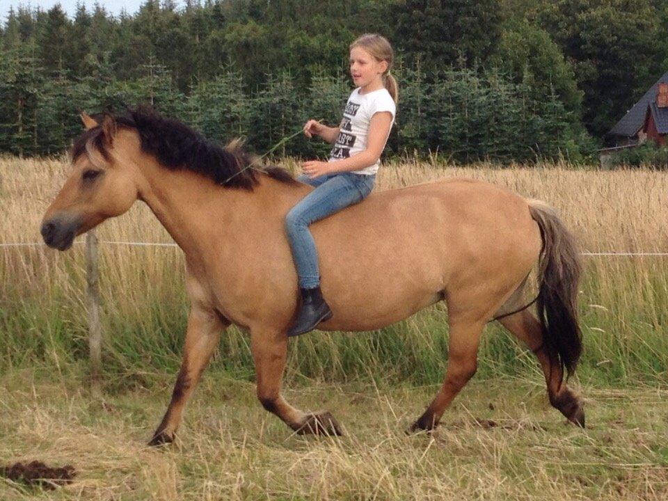 Anden særlig race Maude af mølleagergård - første gang helt uden udstyr billede 3