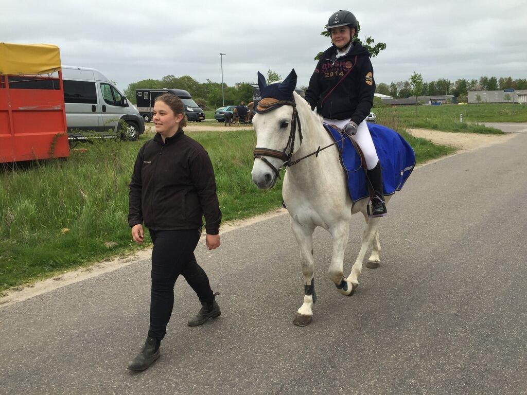 Anden særlig race Silver Shy billede 6