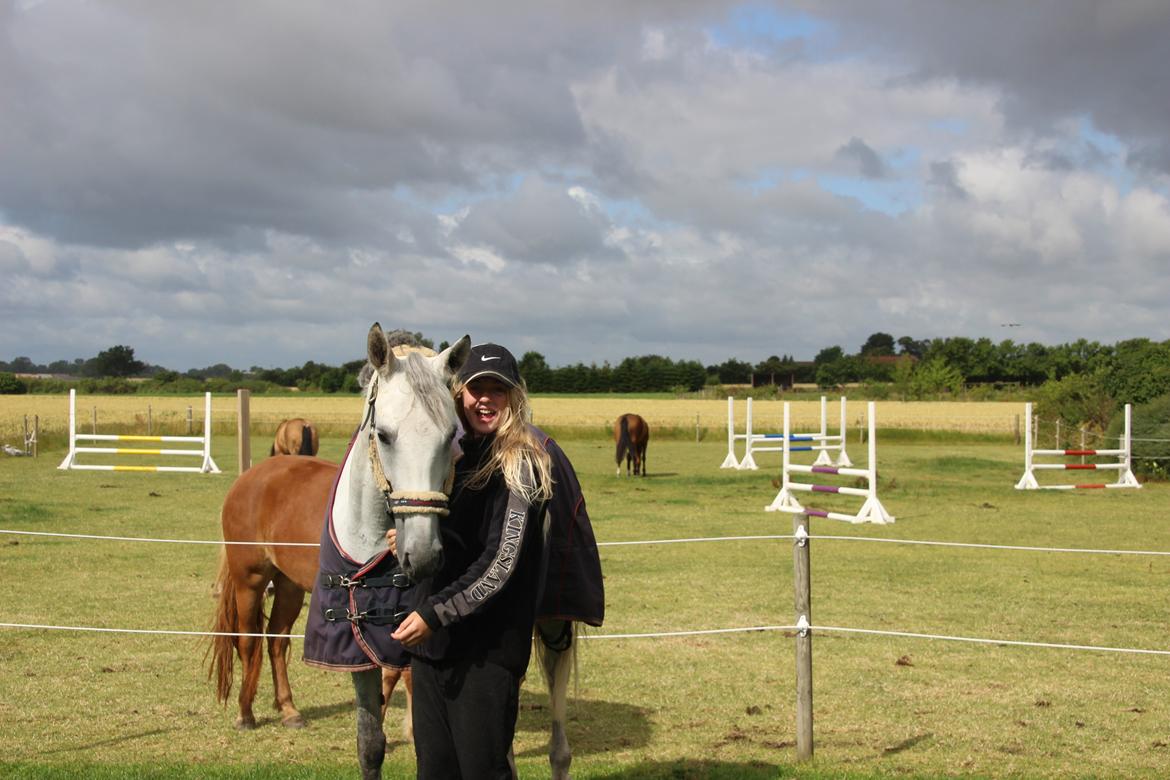 Anden særlig race Gipsy billede 8