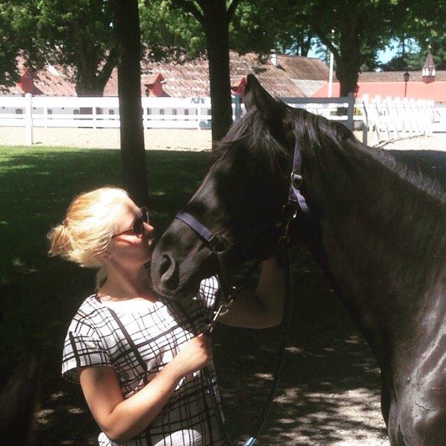 Oldenborg Florencia billede 4