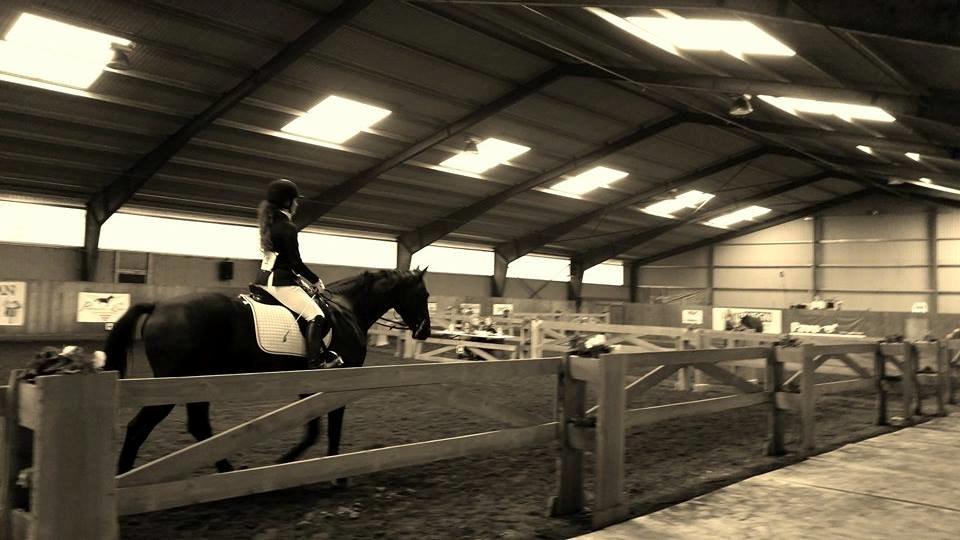 Dansk Varmblod ZACKO - DHE træf -Vores første dressurklasse <3 billede 28