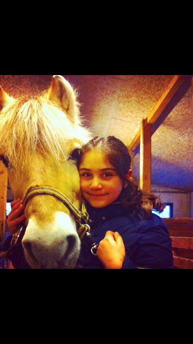 Fjordhest FJORDHEST EDDIE billede 5