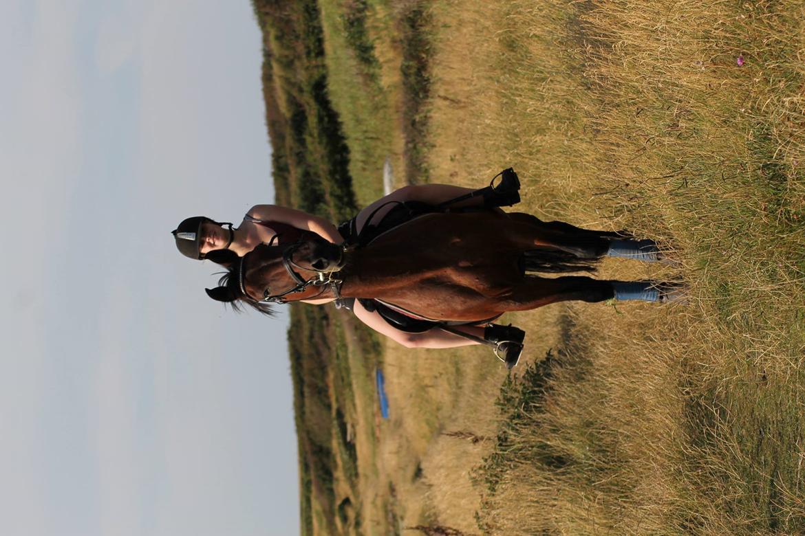 Anden særlig race Josefine. billede 1