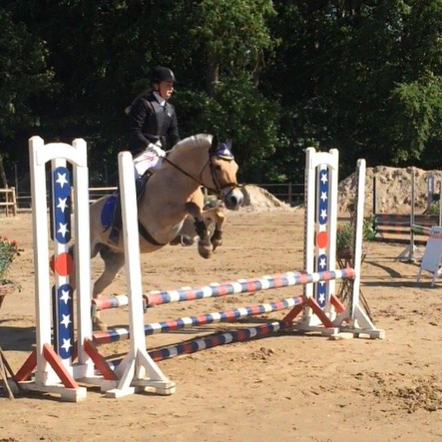 Fjordhest Bob - spring stævne den 20 juni 2015 1 plads🏆 billede 6