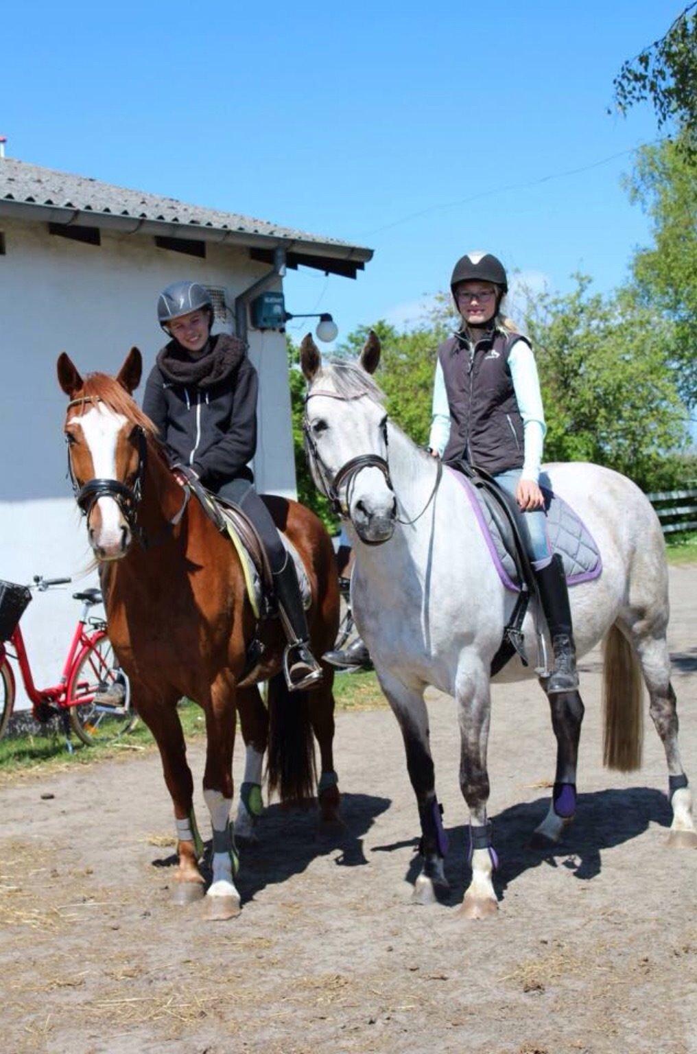 Anden særlig race Freja (My soulmate) - Maria, Charlie, Freja og mig efter en skovtur!<3 billede 10