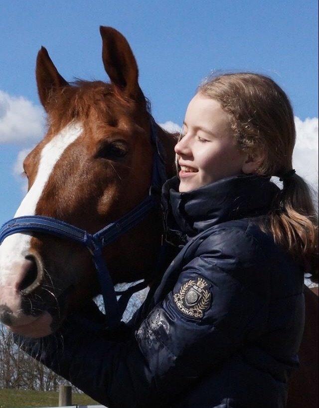 Anden særlig race Manzino billede 16