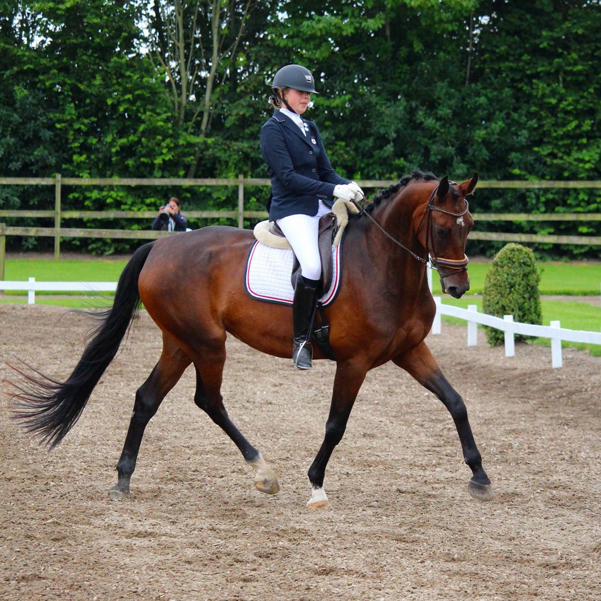 Dansk Varmblod Aalykkes Raffinessa - 5-års i Tørring billede 17